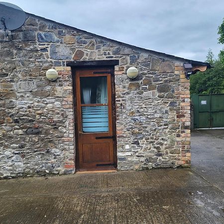 Mount Pleasant Country House Guest House Lucan Luaran gambar